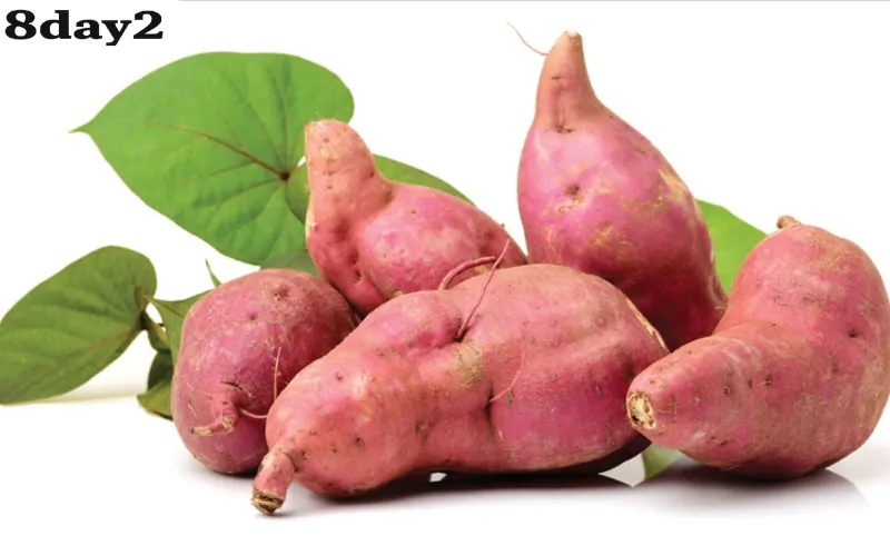 Khoai lang – nguồn beta-carotene giúp tái tạo da và hỗ trợ miễn dịch